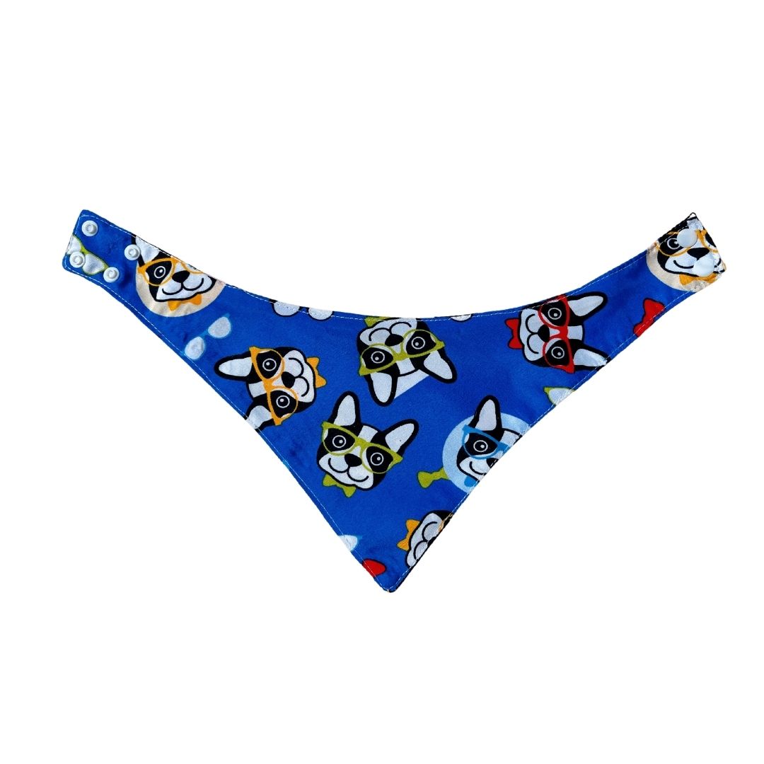 Pañoleta impermeable antifluido doble faz para perros y gatos - Madrugon