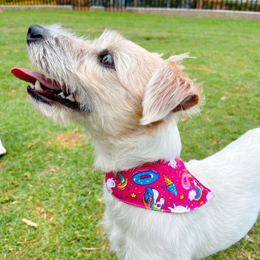 Pañoleta impermeable antifluido doble faz para perros y gatos - Madrugon
