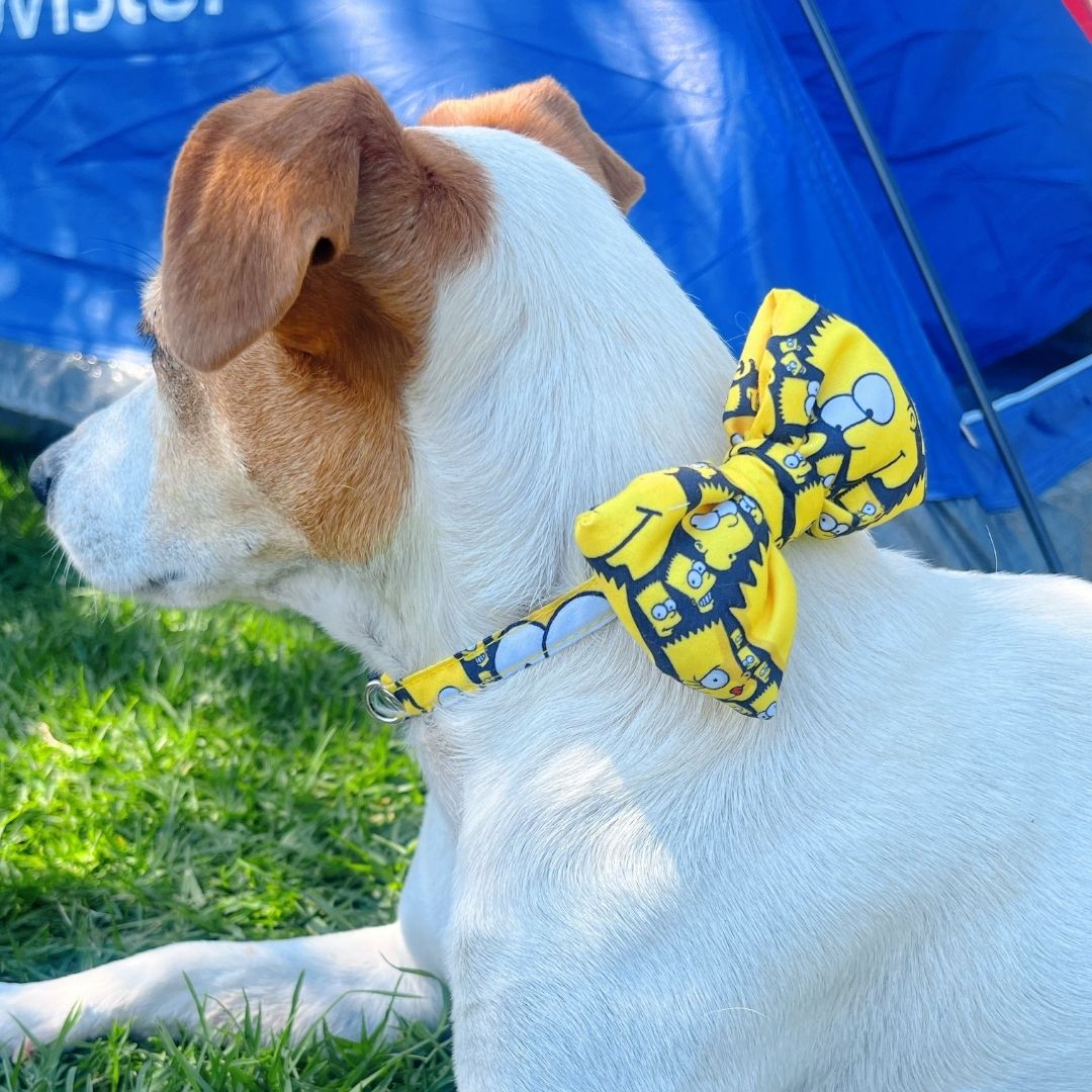Corbatin impermeable antifluido doble faz para perros y gatos - Madrugon