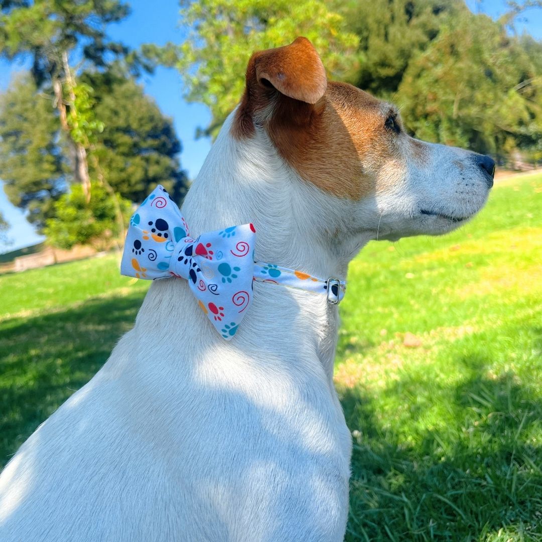 Corbatin impermeable antifluido doble faz para perros y gatos - Madrugon