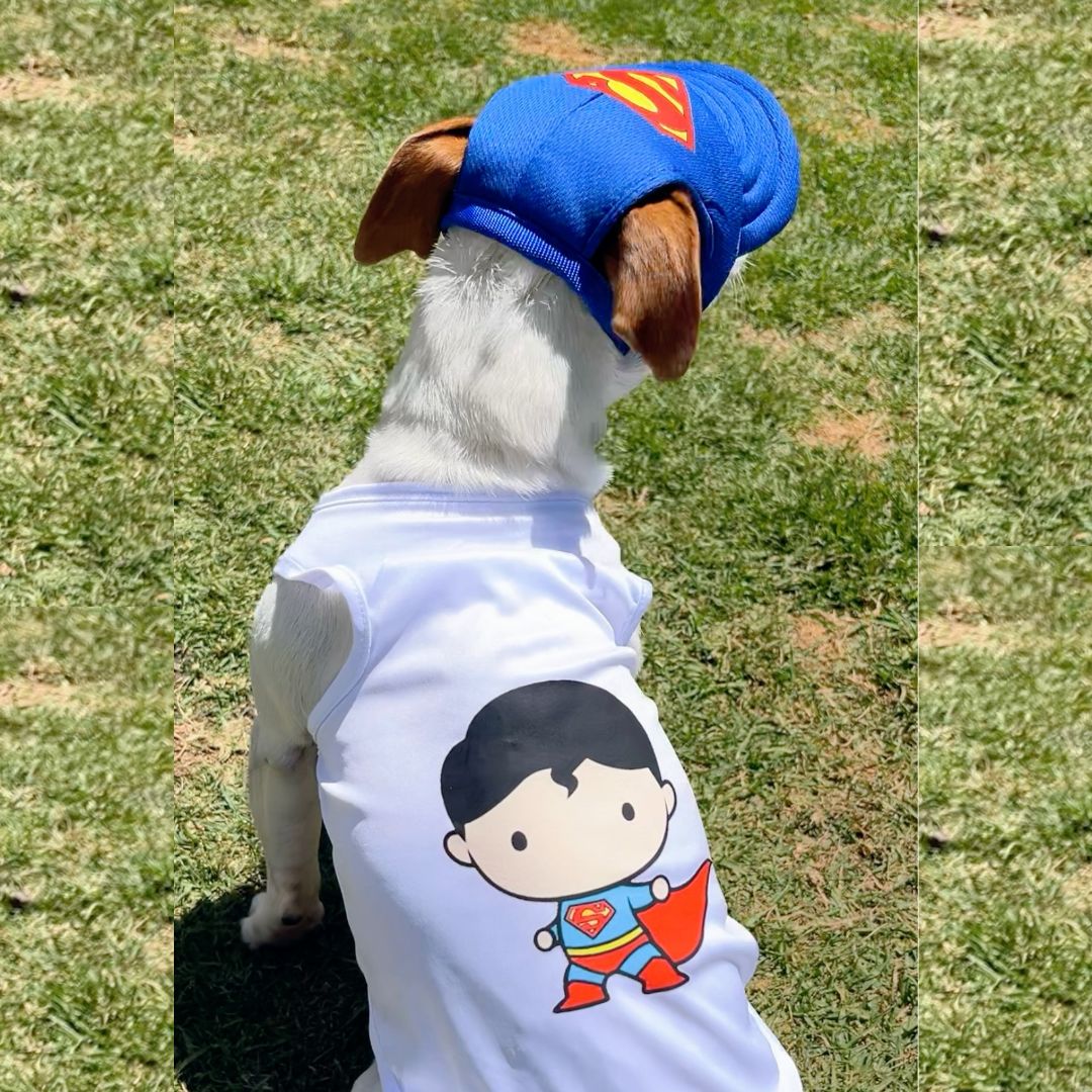 Disfraz Superman halloween para perros y gatos