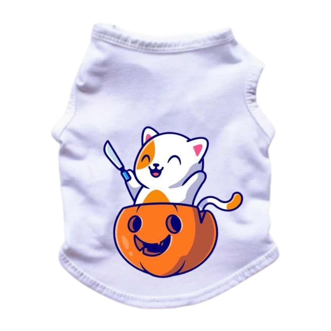 Esqueleto para perros y gatos - Gato Halloween