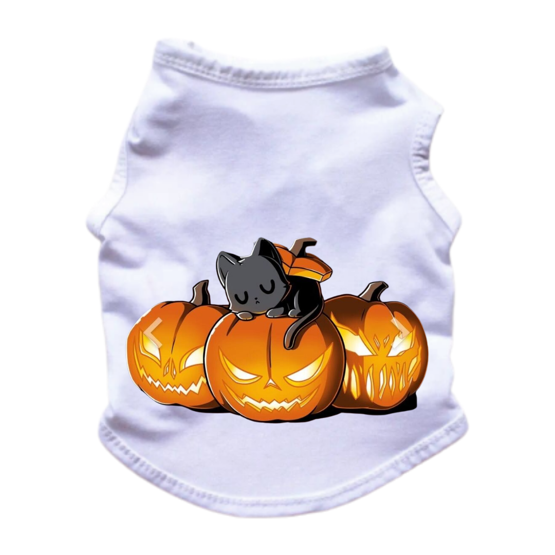 Esqueleto para perros y gatos - Gato Halloween