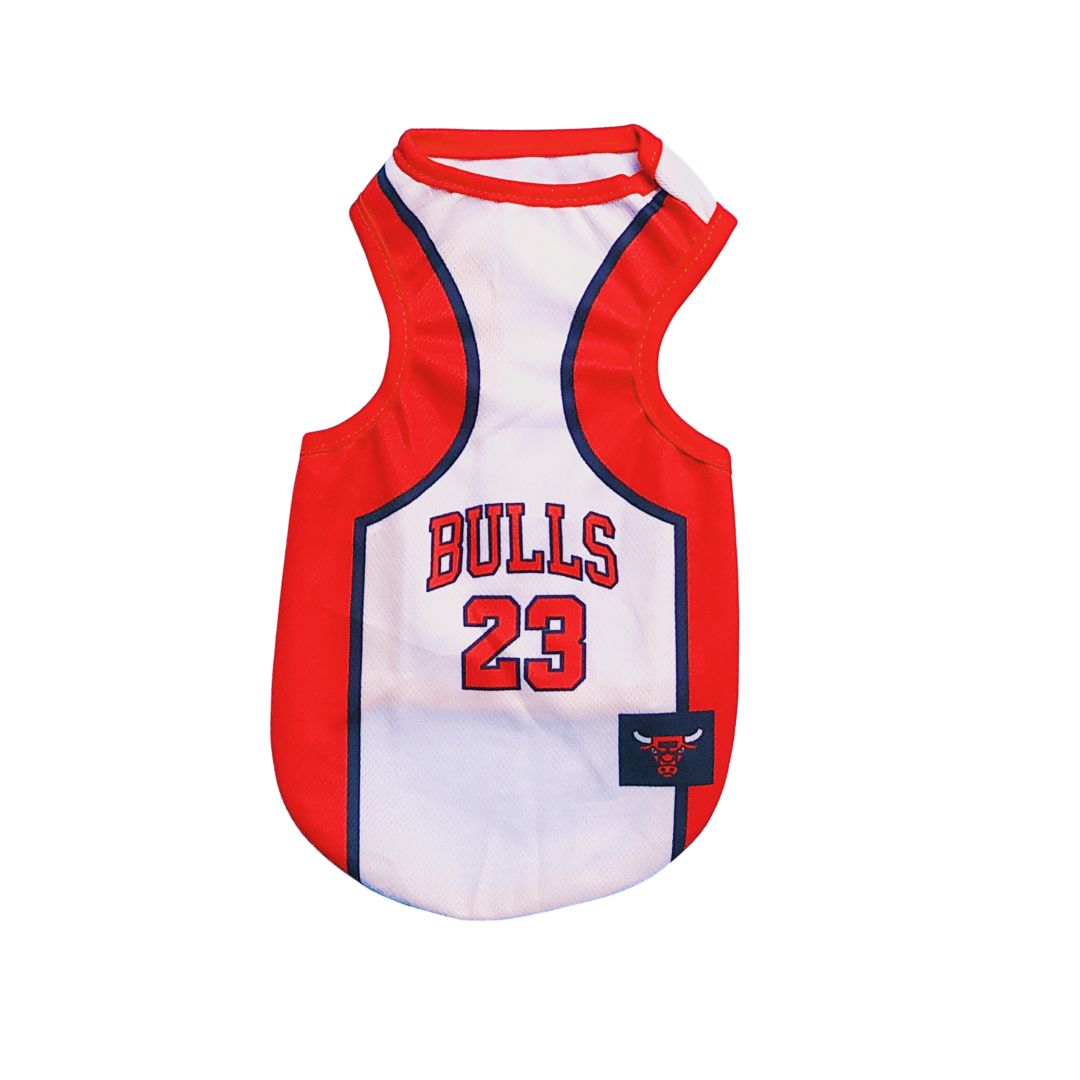 Esqueleto para perros y gatos - Bulls - Madrugon