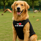 Esqueleto para perros y gatos - Coleccion Dia de la madre - Madrugon