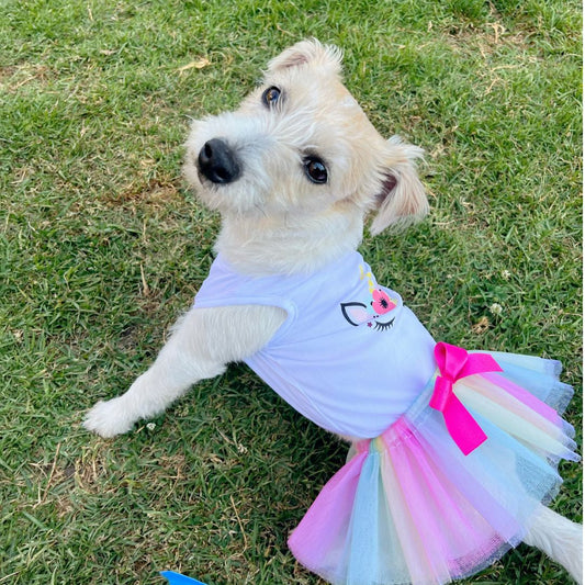 Disfraz unicornio halloween para perros y gatos