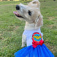 Disfraz mujer maravilla halloween para perros y gatos