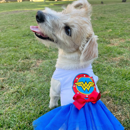 Disfraz mujer maravilla halloween para perros y gatos
