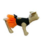 Disfraz brujita halloween para perros y gatos