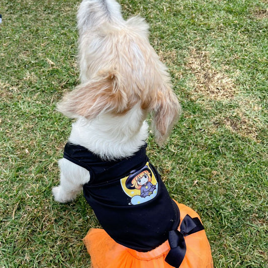 Disfraz brujita halloween para perros y gatos