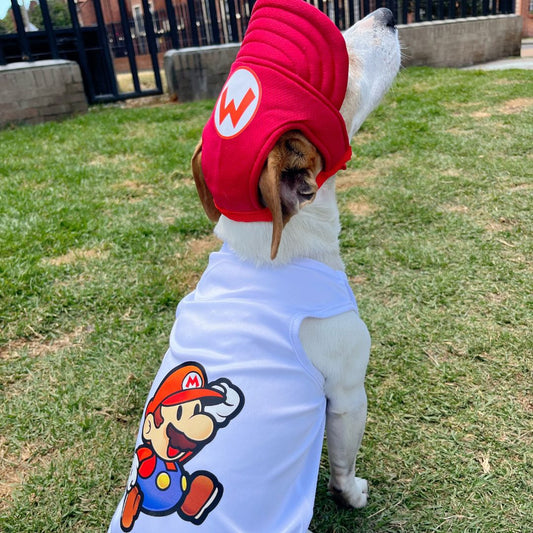 Disfraz Mario Bros halloween para perros y gatos