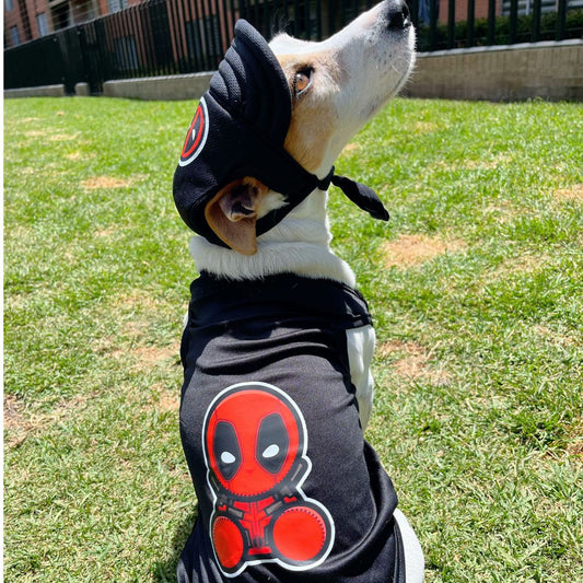 Disfraz Deadpool halloween para perros y gatos