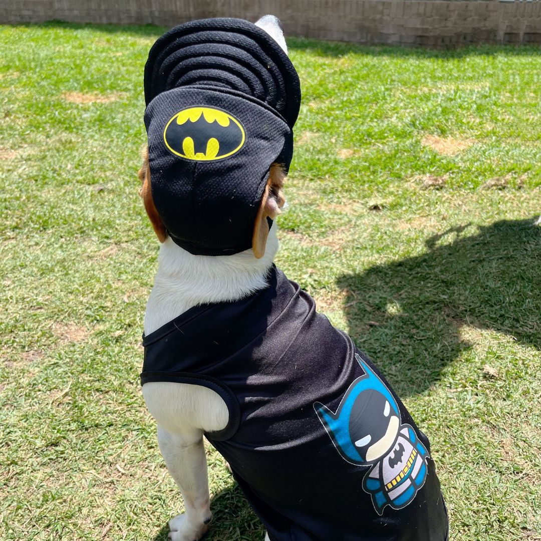 Disfraz Batman halloween para perros y gatos