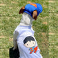 Disfraz Superman halloween para perros y gatos