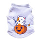 Esqueleto para perros y gatos - Gato Halloween