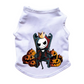 Esqueleto para perros y gatos - Jack Skellington Halloween