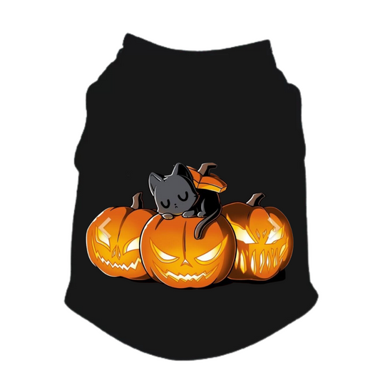 Esqueleto para perros y gatos - Gato Halloween
