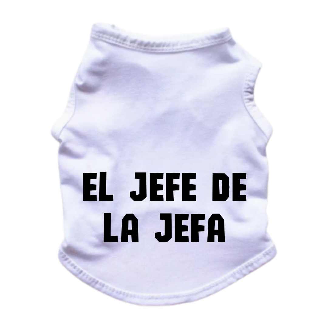 Esqueleto para perros y gatos - Jefe/Jefa - Emparejados