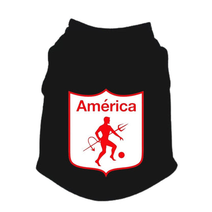 Esqueleto para perros y gatos - Futbol America de Cali