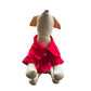 Camiseta polo para perros y gatos - Rojo - Madrugon