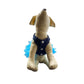 Vestido para perros y gatos - Azul - Madrugon