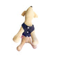 Vestido tutu para perros y gatos - Madrugon