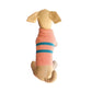 Vestido en lana para perros y gatos - Madrugon