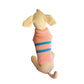 Vestido en lana para perros y gatos - Madrugon