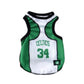 Esqueleto para perros y gatos - Celtics - Madrugon